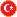 Türkçe